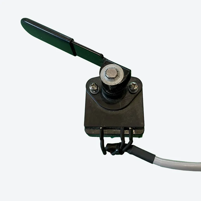 Throttle Control With Lever